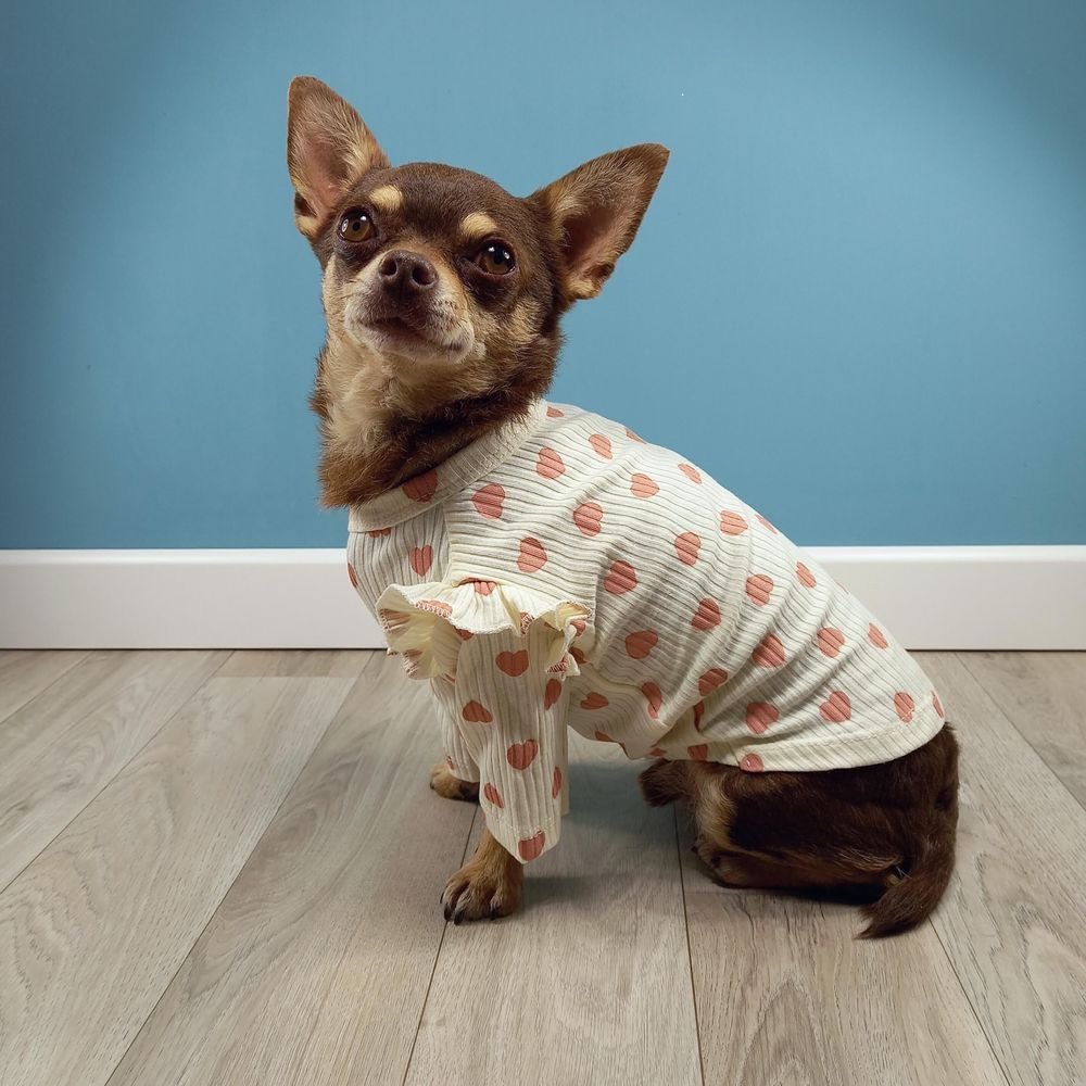 Camiseta para perros pequeños con corazones rosa_1000x1000 Camiseta para perros pequenos con corazones MINIATURAL