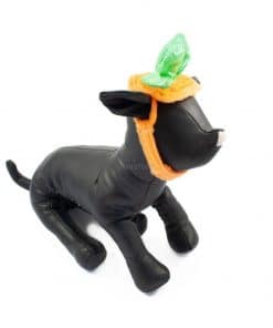 Ropa Halloween para perro sombrero calabaza