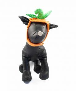 Ropa Halloween para perro sombrero calabaza