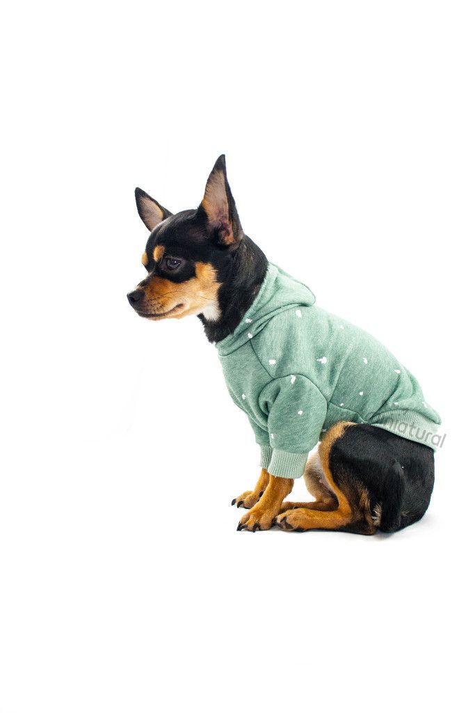 PEPA sudaderas para perros con capucha MINIATURAL