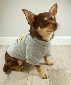 Sudadera Gris con gafas para perros pequeños