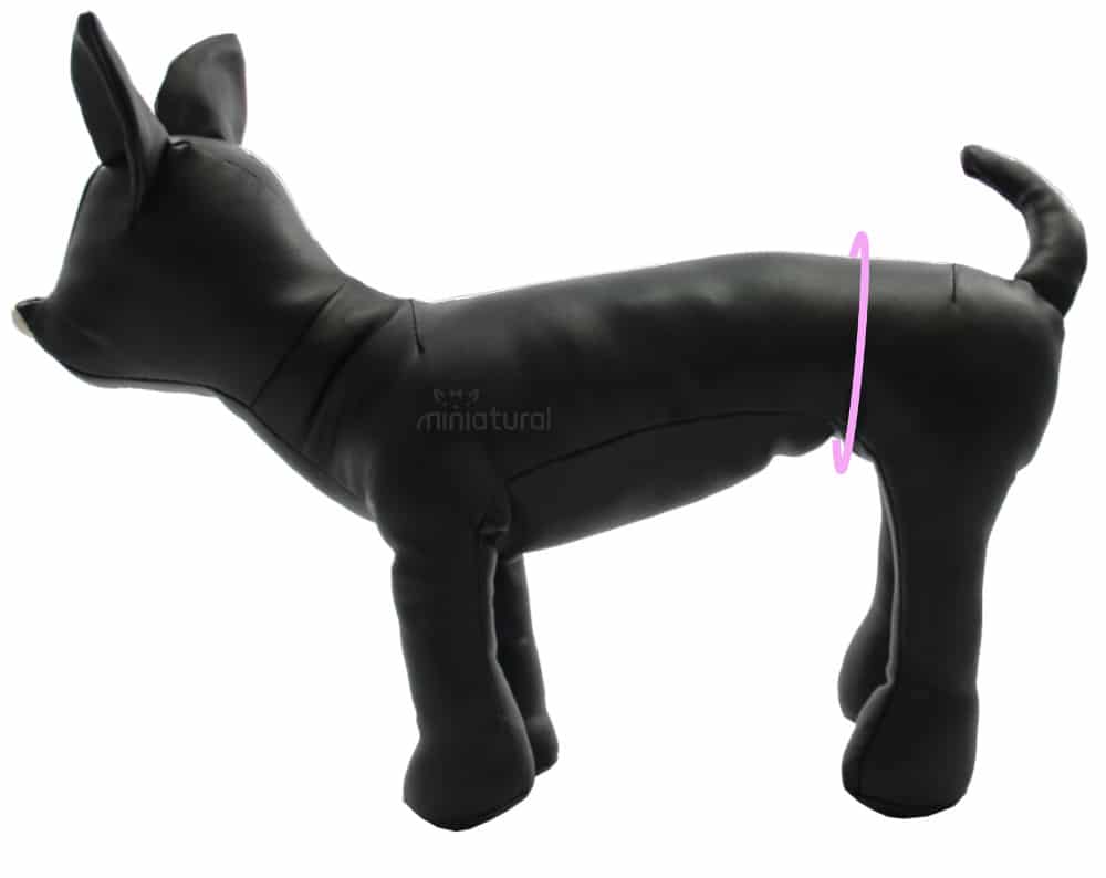 alt medidas para talla de ropa de perros en miniatural
