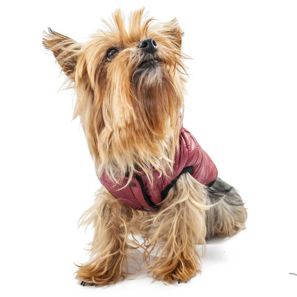ALT Abrigo acolchado con capucha para perros en color burdeos