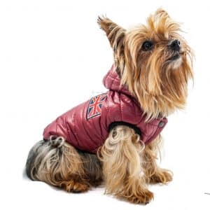 abrigo acolchado con capucha para perros en color burdeos con bandera UK MINIATURAL MINIATURAL