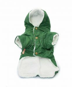 Abrigo Verde Capucha Tres Botones Dorado Forro Pelo Ropa Perros Blanco Invierno (2)