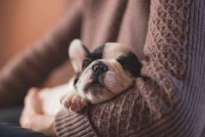 ALT protege a los cachorros del frio