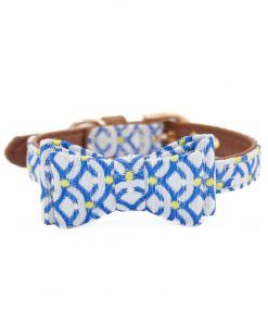 collar para perros pequeños piel sintetica azul