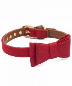 collar para perros pequeños piel sintetica rojo