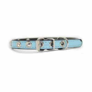 collar para perros azul