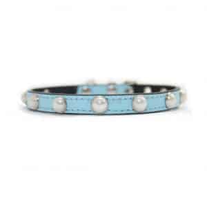 collar para perros azul