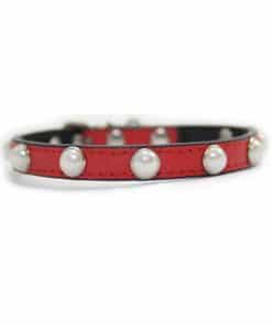 collar para perros rojo