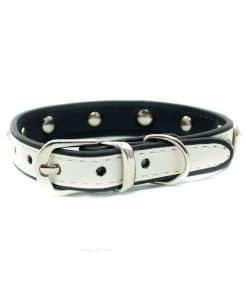 Collar Perro Blanco Piedras Verde Rosa Perro Pequeño (1)