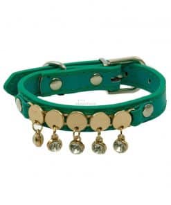 Collar Perro Lujo Brillantes Circulos Dorados Azul Turquesa (1)
