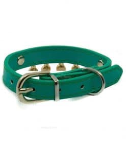 Collar Perro Lujo Brillantes Circulos Dorados Azul Turquesa (2)