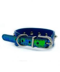 Collar Perro Lujo Cocodrilo Pinchos Azul Metalico (2)