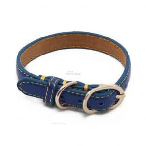 Collar Piel Sintetica Azul Hevilla Dorada