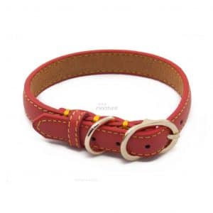 Collar Piel Sintetica Rojo Hevilla Dorada