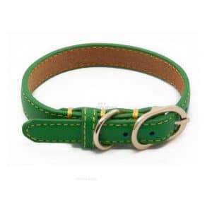 Collar Piel Sintetica Verde Hevilla Dorada