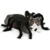 ALT disfraz de halloween para perros pequeños con patas de tarantula. Disfraz para gatos de tarantula