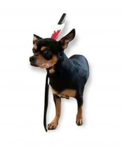 disfraz de halloween para perros pequenos cuchillo MINIATURAL