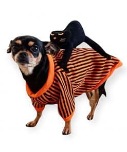 disfraz de halloween para perros pequenos sudadera con gato MINIATURAL
