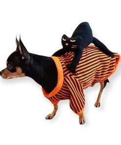 disfraz de halloween para perros pequenos sudadera con gato1 MINIATURAL