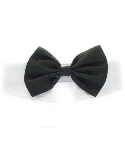 Pajarita Perro Negra Ceremonia Cuello Camisa