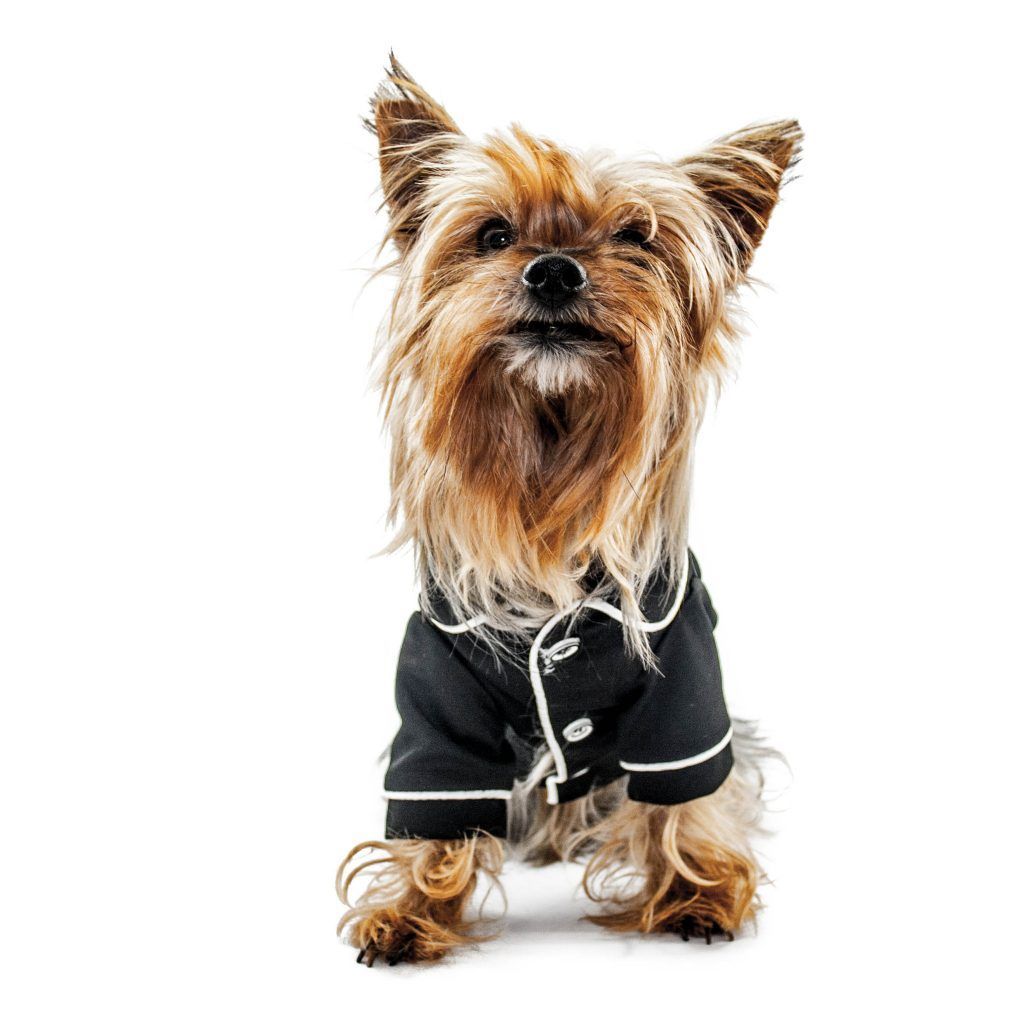 Alt pijamas para perritos pequeños comodos y calentitos