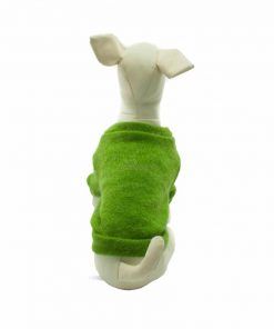 Rebeca Punto Perro Verde Botones Negros Ropa Perros Primavera (1)