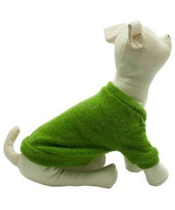 Rebeca Punto Perro Verde Botones Negros Ropa Perros Primavera (3)