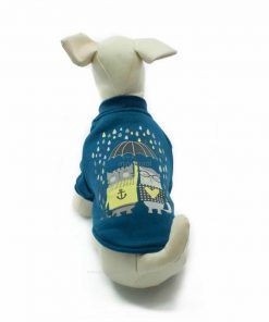Sudadera Azul Gatos Lloviendo Paraguas Ropa Perros Primavera (2)