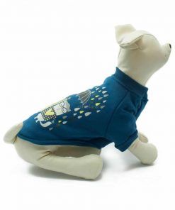 Sudadera Azul Gatos Lloviendo Paraguas Ropa Perros Primavera (3)