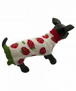 Vestido Teckel Punto Perro Salchicha Fresas Ropa Perros Primavera (3)